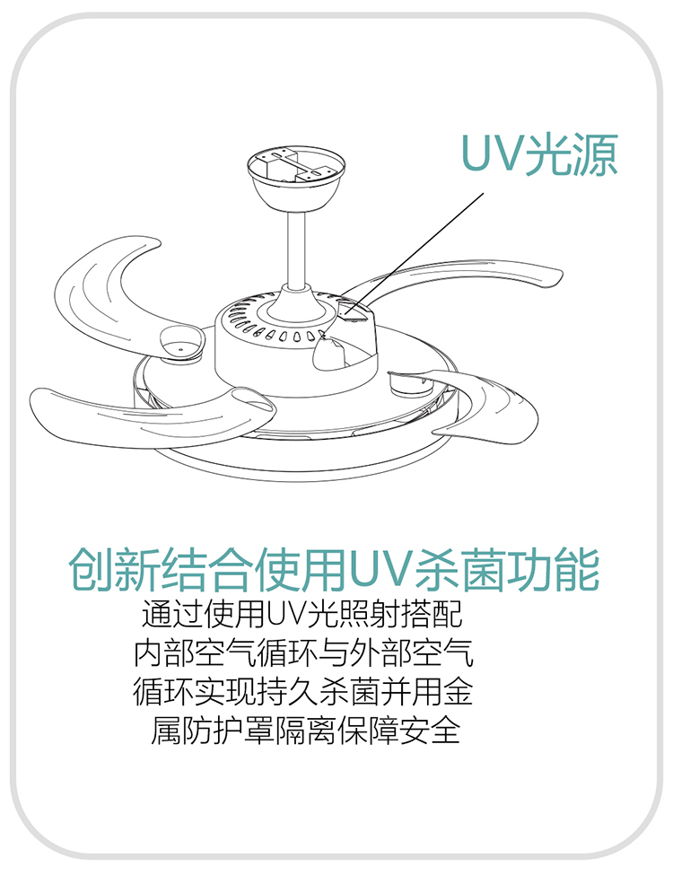 教育風(fēng)扇燈白(圖11)