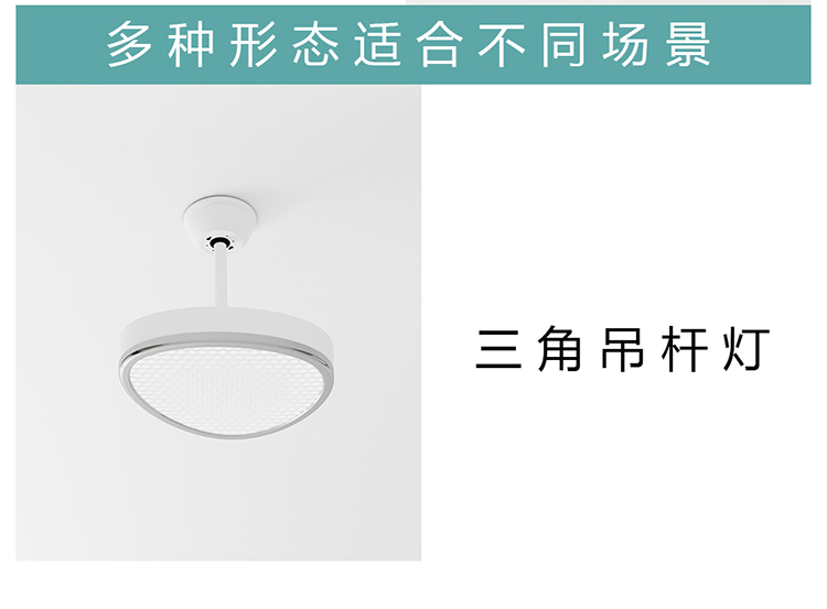 教育風(fēng)扇燈白(圖26)